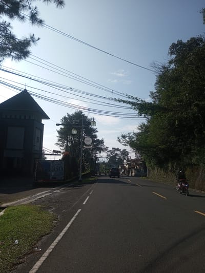 A road with yellow dashed lines runs through an area with buildings and greenery under a blue sky. On the left, a building with a turret-like structure stands next to a billboard. Streetlights with ornate lanterns are positioned along the side of the road. A car is traveling in the distance, and a person on a motorbike approaches in the foreground. Dense foliage and trees line the right side of the road. The location is unknown.