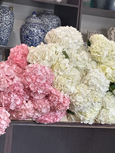 In the foreground of the image, a large bouquet of hydrangeas is displayed. The bouquet is composed of two distinct colors: bright pink and creamy white. The flowers are densely packed, creating a lush and voluminous arrangement. They are arranged on a dark, textured surface, possibly a shelf or table, which contrasts with the soft colors of the flowers.

In the background, on a grey shelf, several decorative blue and white porcelain vases are visible. One vase on the left is tall and slender with a blue pattern. Next to it, a rounder vase with a lid features a detailed blue design. Further to the right, another blue and white patterned vase is partially visible. The shelves themselves are also grey.

The image appears to be taken indoors, likely in a home decor store or a well-decorated living space. The lighting is soft, highlighting the textures and colors of the flowers and vases. There are no people or animals visible in the image. The overall scene suggests a display of decorative items, with a focus on floral arrangements and traditional porcelain. The presence of these items, particularly the decorative porcelain vases, could indicate a traditional or classic interior design aesthetic. The location of Assinovskaya, Russia, is not determinable from the visual elements present in the image.