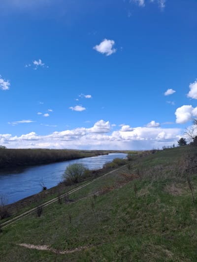 This image captures a serene natural landscape featuring a wide river under a bright blue sky. The sky is predominantly clear, dotted with scattered white cumulus clouds of varying sizes. The river, with its calm, deep blue waters, flows horizontally across the middle of the frame, receding into the distance.

Both banks of the river are covered in green and brown grass, indicating early growth or a mix of fresh and dry vegetation. Along the riverbanks, particularly on the left, are numerous trees and shrubs. Many of these trees appear bare or are just beginning to bud, suggesting the season is either early spring or late winter. On the right bank, a narrow dirt path or track runs parallel to the water's edge. Further back from the river, a dense line of trees forms the horizon.

There are no people or man-made objects visible, highlighting the untouched natural environment. The scene is brightly lit, indicating a clear, sunny day, likely in the late morning or early afternoon. The weather appears pleasant with minimal cloud cover. Based on the provided context, the location is Elets-Malanino, Russia. No visible text is present in the image.