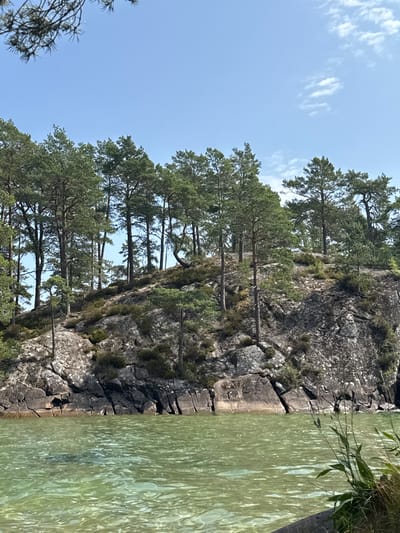 The image depicts a rocky shoreline with pine trees on a sunny day. The water in the foreground is a clear, light green color, with ripples on its surface. The rocky bank is covered in patches of vegetation, and tall pine trees with dark green needles grow along the top and sides of the bank. The sky above is a clear, pale blue with a few wispy white clouds. The scene suggests a natural, undeveloped landscape. This location is likely a section of the shore along Lake Vättern near Karlsborg, Sweden, known for its rocky coastlines and pine forests.
