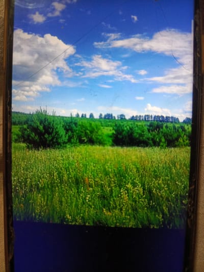The image is a photograph of a bright blue sky with scattered white clouds. Below the sky is a landscape of rolling green hills. In the foreground, there is a field of tall green grass dotted with small white and yellow wildflowers. Behind the field, there is a dense line of green trees, some of which appear to be pine trees. In the distance, more trees are visible along the horizon, forming a darker green line against the sky. The overall impression is of a sunny day in a rural or natural setting. There is no indication of people or any structures within the visible landscape. The photograph appears to be taken from a slightly elevated position, looking out over the field and towards the trees. There are some visible scratches on the surface of the screen displaying the image.