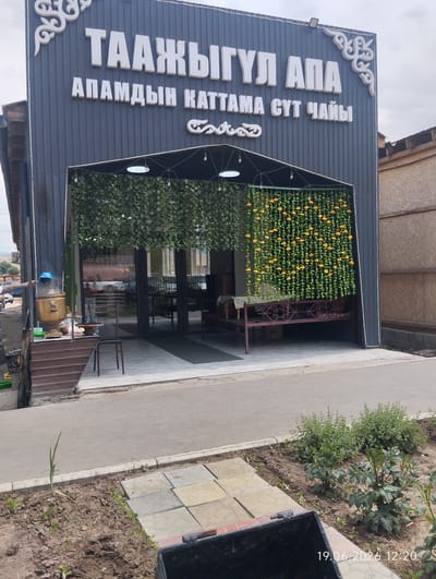 The image depicts the exterior of a building with signage in Cyrillic script. The building is dark gray with white lettering that reads "ТААЖЫГУЛ АПА" and "АПАМДЫН КАТТАМА СУТ ЧАЙЫ". Below the main sign, there is a decorative element resembling a swirl.

The entrance to the building is covered by an awning, beneath which hangs a curtain of artificial green leaves interspersed with small yellow flowers. To the left of the entrance, a large, ornate brass samovar sits on a wooden stand. A person wearing a blue hard hat is visible near the samovar, seemingly tending to it or engaged in some activity related to it. A small stool is placed to the right of the samovar.

In front of the entrance, there is a bench with a dark red, ornate metal frame. Inside the building, through the glass doors, tables and chairs are visible, suggesting an interior seating area.

The ground in front of the building is paved with gray tiles. To the right of the entrance, a textured wooden fence or wall is visible. In the foreground, there is a patch of soil with young plants and some paving stones. A black plastic container is visible in the bottom right corner, and a timestamp "19.06.2026 12:20" is overlaid on the image. The sky is overcast.

The location is identified as Sasyk-Bulak, Kyrgyzstan.