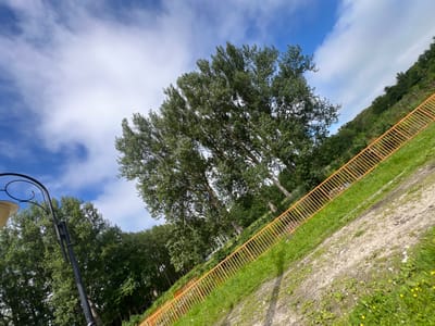 The image depicts an outdoor scene on a sunny day with a blue sky and scattered white clouds. In the foreground, a sloped grassy area is bordered by a bright orange metal fence. Beyond the fence, lush green trees dominate the landscape, with a prominent cluster of tall trees in the center-left of the frame. The angle of the shot is tilted, giving a dynamic perspective to the scene. A lamppost with a decorative curved arm is visible on the far left. The overall setting appears to be a park or a natural area, possibly near a body of water given the name of the location. There is no visible text in the image. The weather seems pleasant, suggesting it could be daytime, likely late morning or afternoon, judging by the brightness and clear sky.