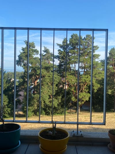 The media file captures a view through a metal railing, looking outwards from a balcony or similar elevated position. The scene is dominated by a large, mature pine tree with lush green foliage, its branches spreading widely. Behind the tree, hints of buildings and a distant landscape are visible, suggesting an urban or semi-urban setting. The sky above is a clear, bright blue, with a few wispy white clouds.
In the foreground, on the right side of the image, are two potted plants. One is a bright yellow pot containing a small plant with green leaves. Another pot, teal in color, is partially visible at the bottom right, also containing a plant. The railing itself is made of grey metal bars, arranged vertically and horizontally, creating a grid-like pattern that frames the view.
To the right of the railing, a section of the balcony floor is visible, appearing to be paved with grey tiles. A wooden beam, likely part of the balcony structure, is also present, with the railing attached to it by metal brackets and bolts. The ground outside the railing appears to be covered in dry, yellow grass and scattered trees.
The lighting suggests it is daytime, likely late morning or afternoon, with the sun casting shadows and illuminating the scene. The overall mood is one of tranquility and nature viewed from a comfortable vantage point. There is no visible text in the image. The location context is Milvignes, Switzerland.