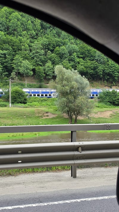 The image shows a scene captured from inside a vehicle, looking out at a train passing through a lush green landscape in Ciorogârla, Romania. The perspective is from a car, indicated by the dark curved edge of a window frame in the foreground.
The main subjects are a train with blue and white carriages, a deciduous tree with light green foliage, and a dense forest on a hillside. A metal guardrail separates the road from a body of water, likely a flooded field or river, which appears muddy brown and reflects the overcast sky. The grass along the water's edge is a vibrant green. The train appears to be on a track running parallel to the road and the water.
The activity taking place is a train traveling alongside a road, viewed from a moving vehicle. The time of day appears to be daytime, with the overcast weather contributing to soft, diffused lighting. There are no people visible in the image.
Notable details include the blue and white livery of the train cars, with some visible numbering or text on the side, though it is not clearly legible. The guardrail is a ribbed metal structure, typical of highway safety barriers. The dense green foliage of the forest suggests a temperate climate during the warmer months. The presence of floodwaters hints at recent rainfall.
No clear emotions are conveyed by the image, which presents a straightforward depiction of a roadside scene. The location is identified as Ciorogârla, Romania.