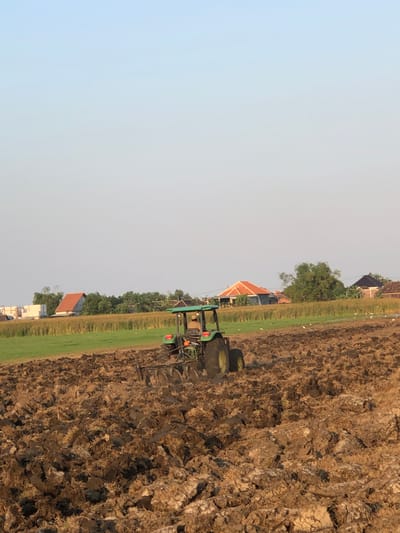 An agricultural field in Glagah Arum, Indonesia, is the setting for this scene. A green tractor with a plow attachment is actively tilling the soil, creating freshly turned earth. The field in the foreground is a rich brown, showing the results of the plowing. In the mid-ground, a strip of green grass separates the plowed field from a row of houses with red and dark tiled roofs, surrounded by lush green trees. The sky above is a clear, pale blue, indicating a bright, likely daytime setting. Several small white birds are scattered across the green mid-ground. The overall atmosphere is one of agricultural activity in a rural Indonesian landscape.
