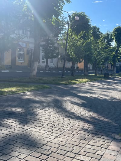 The image depicts a sun-drenched street in Stryi, Ukraine, characterized by its paved pedestrian walkway. The walkway, made of rectangular grey cobblestones, exhibits a pattern of alternating horizontal and vertical placement. Sunlight streams through the leaves of mature trees lining the street, casting dappled shadows across the cobblestones. In the background, a light-colored building with multiple windows and an awning is visible, suggesting a commercial area. A street lamp with a spherical light fixture stands prominently on the left side of the image. The scene appears to be a public thoroughfare, likely a sidewalk or promenade, during daylight hours.