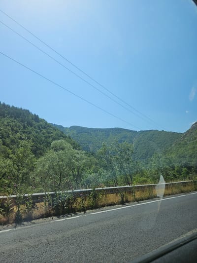 The image depicts a sunlit, mountainous landscape in Stara Kresna, Bulgaria, viewed from inside a vehicle. The upper portion of the frame is dominated by a clear, vibrant blue sky, bisected diagonally by three parallel, dark overhead power lines running from upper left to lower right. Below the sky, heavily forested mountains rise steeply, covered in dense, lush green vegetation. In the foreground, an asphalt road is visible, marked by a continuous white line on its right edge. A metal guardrail runs parallel to the road, beyond which an embankment supports dry grass and numerous thistle plants with purple blossoms. A dark car window frame is partially visible in the lower right corner, and a soft, irregular reflection or glare is present on the window surface in the same area. No people or other vehicles are present in the scene.