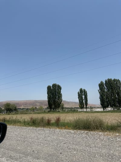 The image depicts a roadside view in Kumush-Aziz, Kyrgyzstan. In the foreground, a gravel road is visible on the right side, with a portion of a car's side mirror on the left. Beyond the road is a field of dry grass and sparse vegetation. Several tall, slender trees with dense green foliage stand in a line across the middle ground, interspersed with smaller trees and the roofs of buildings. In the background, rolling hills with a reddish-brown hue rise against a clear blue sky. Three thin, dark power lines are strung horizontally across the upper portion of the image. The overall scene suggests a rural or semi-rural landscape under a bright, sunny sky.