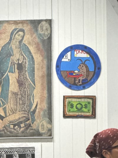 The image displays a segment of a white, vertically paneled wall in an indoor setting within Guadalajara, Mexico. On the left, a large, rectangular framed artwork features a depiction of the Virgin of Guadalupe, rendered in blues and browns, with clasped hands, standing on a crescent moon supported by an angel. Two small, circular insets are visible on the artwork, one containing a smaller image of the Virgin. To the right of this, a circular blue-framed artwork, resembling a porthole, depicts a cartoon brown cockroach seated at a small red table with white objects. A partially visible white sign with red text is in the background of this artwork. Below the circular artwork, a smaller, rectangular brown-framed piece displays a stylized green dollar bill with two dollar signs and a central circular emblem. The bottom right corner of the image shows the top of a person's head, partially obscured, wearing a red patterned bandana and eyeglasses.