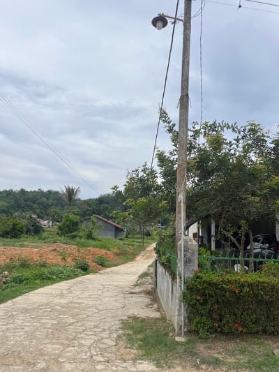 The image depicts a rural road in the vicinity of Rantau Pauh, Indonesia, under an overcast sky. A cracked, concrete pathway, likely a road or walkway, dominates the foreground, curving to the left. To the left of the path, a reddish-brown dirt mound is visible, covered in patches of green grass. Further along the path, a simple, gray building with a red roof is situated amongst lush green trees. In the distance, a dense forest blankets rolling hills.

To the right of the path, a concrete wall supports a manicured hedge with small red flowers. Adjacent to the hedge, a weathered concrete utility pole stands prominently, equipped with a light fixture and numerous electrical wires. Behind the hedge and wall, a portion of a white building with a dark-tiled roof is visible, partially obscured by trees. A dark-colored car is parked in front of this building. The overall impression is one of a quiet, semi-developed rural area.