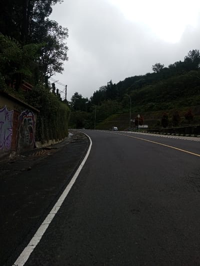 This image depicts a paved road curving to the right through a mountainous, heavily forested area in Bangtsho, Bhutan, under an overcast sky. The road surface is dark asphalt, appearing damp in sections, and features a solid white line defining the left shoulder and a dashed yellow center line further ahead.
On the immediate left, a concrete retaining wall is visible, marked with various graffiti in purple, red, and black. Behind this wall, dense green vegetation, including bushes and mature trees, ascends a steep embankment. Utility poles and overhead wires are discernible amidst the trees on this side.
To the right of the road, a steep hillside covered in dense green foliage, primarily evergreen trees and undergrowth, rises. The road edge on this side is bordered by segmented black and white barriers. Multiple streetlights with white poles are spaced along this section. In the midground, a small white utility pickup truck is visible on the far side of the road, partially obscured by the curve and roadside vegetation. A circular traffic sign is also present near the truck.
The sky is uniformly light grey, indicating overcast conditions, and the scene is lit by diffused natural light. No individuals are present in the image.