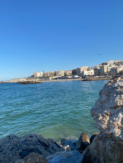 The image depicts a coastal scene in Beau Fraisier, Algeria. From a high vantage point atop a rocky breakwater, a view extends over the water toward the city's shoreline. The water surface is rippled, reflecting the light, and extends towards the city. The buildings line the coast, mostly low to mid-rise structures. A bird is visible in the clear blue sky. The rocky breakwater forms the foreground, with various rock formations and textures visible. The image is oriented vertically.