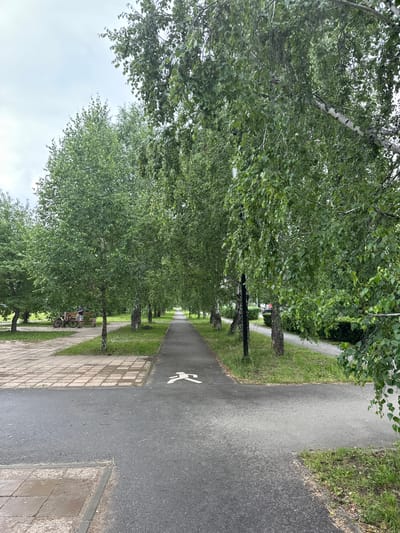 The image depicts a path lined with trees on the left and a paved walkway on the right, with grass and a sidewalk adjacent to the path. A white symbol of a person walking is painted on the paved walkway, indicating a pedestrian area. In the distance, a person is sitting on a bench next to a bicycle, taking a break. The scene appears to be in a park or a residential area, with the trees suggesting a natural setting. The sky is overcast, indicating a cloudy day. The overall atmosphere is peaceful and serene, with no specific event taking place, just a casual moment of rest for the person.