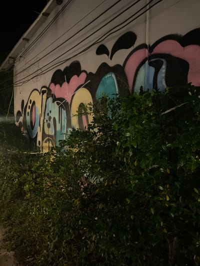 The image shows a section of a wall with graffiti art in Baan Don Sai, Thailand. The graffiti features pastel colors including pink, yellow, and blue outlined in black. A tree with dense green foliage obscures part of the artwork. Several power lines are visible against the background of the wall, running at an angle. The scene appears to be photographed at night or in a low-light environment.