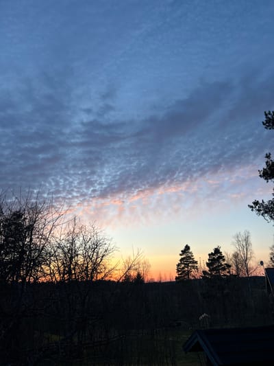 The image depicts a landscape at dusk or dawn, likely taken in Gränsta, Sweden. The left side of the image showcases a sky filled with altocumulus clouds, exhibiting a pattern of small, rounded masses. The colors range from blue to pink hues, indicating the presence of sunlight reflecting off the clouds.
On the right side, a dark silhouette of trees and vegetation is visible. Some bare branches are noticeable, suggesting it might be late autumn or winter. The skyline is partially obscured by the trees. There is also a hint of orange and yellow colors in the sky where the sun is setting or rising.
The image appears to be taken from ground level, possibly near a residential area, as parts of a roof and a lamppost can be seen. No people or explicit actions are visible in the image. The focus is on the sky and the landscape.