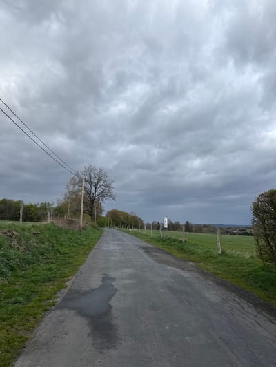 A rural asphalt road runs through a green field under a cloudy sky, in Remscheid, Germany. The road surface is cracked and has a large wet area. Green grass grows along both edges of the road. A line of wooden posts and wire fences runs along the left side of the road, partially obscured by trees. Bare tree branches are visible against the sky. Two power lines stretch across the lower left of the frame. In the distance, a light-colored building with a tower is visible.