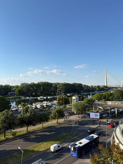 The image depicts a daytime scene in Cukarica Urban Municipality, Serbia, overlooking a river with a marina and a city skyline featuring a distinctive cable-stayed bridge. In the foreground, a busy street with multiple lanes of traffic is visible, including a blue public transit bus in the process of turning, several passenger cars, and a white utility van. Pedestrians are crossing at a marked intersection. The middle ground shows a tree-lined embankment leading to the river, where numerous docked boats, mostly smaller leisure craft, are clustered. Beyond the river, a dense line of trees forms the background, with the prominent cable-stayed bridge extending across the water in the distance, partially obscured by the trees and city structures. The sky is bright blue with scattered white clouds, suggesting fair weather.