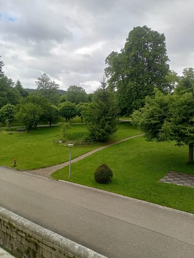 The image depicts a park area with a paved path and a road in the foreground. A low stone wall runs along the bottom of the image. Lush green grass covers the park, dotted with various trees and bushes. A small fenced-off pond with aquatic plants is visible in the middle ground, with a wooden fence surrounding it. A modern street lamp stands near the pond. In the distance, a large, mature tree dominates the landscape, with a backdrop of rolling hills and a cloudy sky. A red fire hydrant is located on the left side of the image. The scene appears to be a serene outdoor space in Bellelay, Switzerland.