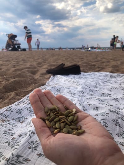 The image depicts a first-person perspective on a sandy beach in Sestroretsk, Russia, under an overcast sky. In the immediate foreground, a light-skinned hand, likely a right hand, holds a handful of approximately thirty to forty green, shelled pumpkin seeds. This hand rests slightly above a white or light-colored patterned blanket, which features a repeating design of green and brown leaves or foliage. The blanket is partially spread on the sand and appears to be made of a crinkled or textured fabric. To the left of the blanket, a distinct ripple pattern is visible in the sand.
To the upper right of the blanket, a single dark brown or black loafer-style shoe is resting on the sand, suggesting a pair of footwear. The midground and background of the image are significantly out of focus, rendering specific details indistinct. The environment is an expansive sandy beach. In the blurred midground, several individuals are visible. One prominent figure, a man in a horizontal striped shirt (white and green/dark stripes) and orange or red shorts, stands near a dark-colored baby stroller with a tan or brown canopy. Further down the beach, additional blurry figures of adults and possibly children are scattered, engaged in various indistinct activities typical of a beach setting. The horizon line is visible in the far background, where the beach meets what appears to be water or a distant landmass. The sky above is largely covered with grey and white clouds, indicating an overcast or partially cloudy day.