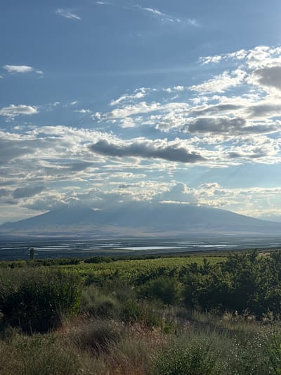 The image captures a panoramic view of Mount Ararat, a dormant volcano in Turkey, from the city of Paruyr Sevak, Armenia. The foreground is dominated by lush green vegetation, appearing to be vineyards or orchards, with dry, tall grasses in the immediate front. Beyond the vegetation, a flat plain stretches out, dotted with bodies of water that could be lakes or irrigated fields. In the distance, Mount Ararat rises majestically, its peak capped with snow and partially obscured by soft, white clouds. The sky is a vibrant blue, with scattered clouds creating a dynamic interplay of light and shadow across the landscape. The overall scene conveys a sense of natural grandeur and serene beauty, characteristic of the Armenian highlands.