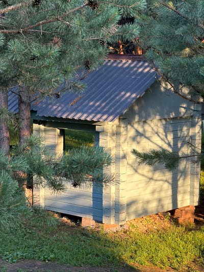 This is an aerial, landscape-oriented photograph taken in Elekmonar, Russia, during what appears to be the late afternoon or early evening, judging by the long shadows cast by the surrounding pine trees. The scene is dominated by the roof of a building, likely a shed or outbuilding, covered with corrugated metal and segmented panels.
The main subject is the building's roof, which is partially obscured by the branches and needles of lush green pine trees. One section of the roof is made of a dark gray, ribbed material, while another, larger section is composed of pale green, horizontally laid panels, possibly made of wood or composite material. These panels have a distinctive interlocking or segmented design, creating a textured surface.
Sunlight filters through the pine branches, creating dappled patterns of light and shadow across the pale green roof. The surrounding area is overgrown with grass and other low-lying vegetation, some of which is illuminated by the warm, golden light of the setting sun. To the right of the building, a path or ground surface is visible, bordered by the grass. In some parts of the image, the dark, earthy tones of the ground and possibly exposed wooden structures are visible beneath the foliage and roof edges. Pine cones are visible amongst the branches.
There is no visible text in the image. The overall mood is serene and natural, hinting at a secluded, possibly rural or natural setting. The focus is on the interplay of natural elements like the trees and light with the man-made structure of the roof.