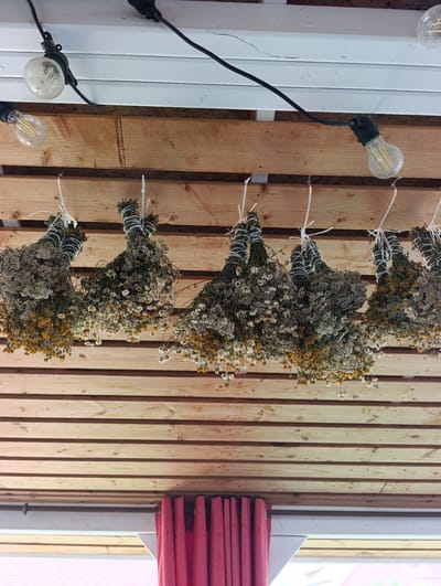 The image shows a close-up, eye-level view of dried herb bundles hanging from wooden beams, likely on an outdoor covered porch or pergola. The bundles are tied with white string and appear to be various types of medicinal or culinary herbs, some with small white or yellow flowers. String lights with exposed bulbs are strung across the top of the scene, casting a warm glow. The wooden beams are smooth and unfinished, running horizontally across the frame. In the lower portion of the image, a section of a window frame and a red curtain are visible. The setting appears to be a rural or suburban area in the village of Ivanovka, Russia, given the presence of wooden structures and the overall rustic aesthetic. There are no people or animals present in the image.