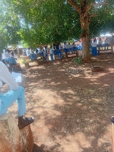 The image depicts an outdoor scene, likely a school or educational setting, under the shade of a large, mature tree. The ground is composed of reddish-brown earth, uneven and scattered with dry leaves and small debris. Sunlight filters through the tree's canopy, creating a pattern of light and shadow on the ground.
A group of individuals, predominantly young people or students, are seated in multiple rows on simple wooden benches. Most of them are dressed in what appears to be a school uniform: white tops and light blue bottoms, which could be trousers or skirts. They are arranged in an orderly fashion, facing towards the right side of the frame (if the image were correctly oriented), suggesting they are attending a lesson, an assembly, or a similar organized event.
In the immediate foreground, partially visible on the bottom right, are the legs and lower torso of a person. This individual is wearing light blue trousers and dark shoes. A white marking, possibly "ZL" or "12", is visible on the side of one shoe. They are holding a white sheet of paper or an open book in their hands, indicating they might be studying, reading, or taking notes.
The prominent feature on the left side of the frame is the large tree, characterized by its thick, textured trunk and abundant, lush green foliage, which provides ample shade over the gathering. The bright lighting and distinct shadows suggest it is daytime, likely a sunny morning or afternoon. The overall impression is one of an educational or community activity taking place outdoors in a warm climate. No other specific text is clearly visible in the image.