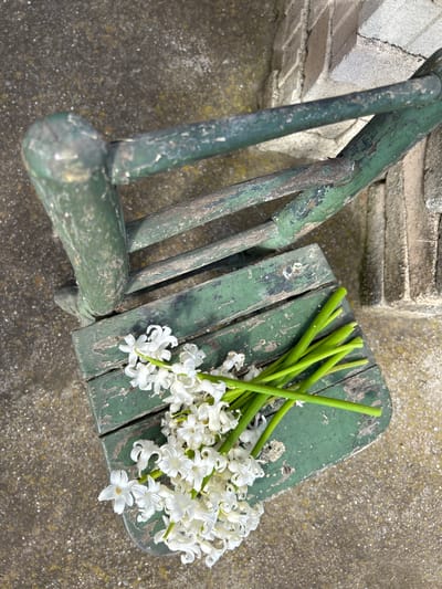 A top-down, medium shot depicts a worn, green wooden chair placed on a concrete surface. A bouquet of white hyacinths rests on the seat, their green stems fanning out from the flowers. The concrete surface shows signs of wear. The location is unknown, and there is no indication that this image was taken in Pishtigovo, Bulgaria. No people or actions are visible.