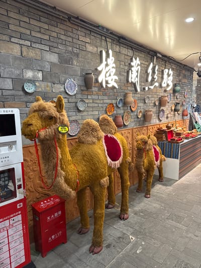 In Qingyang District, China, a brightly lit indoor scene showcases a decorative display featuring three plush camels lined up along a grey brick wall adorned with various patterned plates and ceramic vases. In the foreground, a large, fuzzy camel with a red saddle and reins stands prominently. To its right, a smaller camel, also adorned with a red saddle, is positioned slightly behind. A third, even smaller camel is partially visible behind the second. To the left of the camels, a white automated external defibrillator (AED) cabinet is mounted on the wall, displaying instructions and safety information. Beside the AED cabinet, a red fire extinguisher box with Chinese characters and "FIRE EXTINGUISHER BOX" written in English is placed on the floor. In the background, a counter displays an assortment of decorative items, including wooden boxes, ceramics, and textiles, suggesting a retail or exhibition space. A prominent neon sign with Chinese characters is mounted on the wall above the camels and decorative items. The floor is paved with grey rectangular tiles.