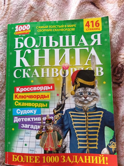 The image shows the cover of a Russian magazine titled "БОЛЬШАЯ КНИГА СКАНВОРДОВ" (Big Book of Crosswords). The cover features an anthropomorphic cat dressed in a blue military-style jacket with gold trim and a red and black hat, holding a rifle. To the left of the cat, there is a squirrel also dressed in a military uniform. The magazine cover has text indicating it contains "1000 CROSSWORDS" and "416 PAGES". Below the title, there are sections for "Crosswords", "Word Puzzles", "Crosswords", and "Sudoku". A banner at the bottom reads "MORE THAN 1000 TASKS!". The magazine is placed on a brown and pink textured surface, possibly a blanket or rug. There is no identifiable information in the image that would allow for the determination of a specific location within the city of Monastirische, Russia.