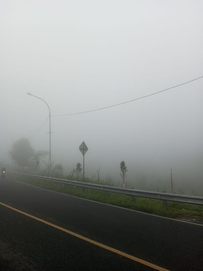 A foggy road scene features a dark asphalt road with a yellow line. A metal guardrail runs along the road's edge, separating it from a hazy background. Bare trees and a diamond-shaped road sign are visible through the dense fog. A solitary streetlight stands tall, connected to a drooping wire. A vehicle is faintly visible on the left side of the road, disappearing into the fog. The overall atmosphere is obscured and mysterious due to the heavy fog.