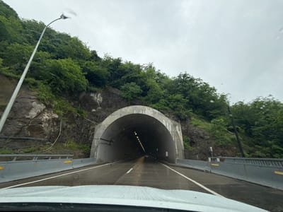 The image depicts the entrance of a tunnel along a road in Grigalati, Georgia. The tunnel is arched and made of concrete, with lights visible inside. The road leading to the tunnel has white lane markings and concrete barriers on either side. The area surrounding the tunnel is hilly, covered with lush green vegetation and rocky outcroppings. A light pole stands tall on the left side of the road. The sky appears overcast. The image is taken from the interior of a vehicle; water droplets are visible on the windshield.