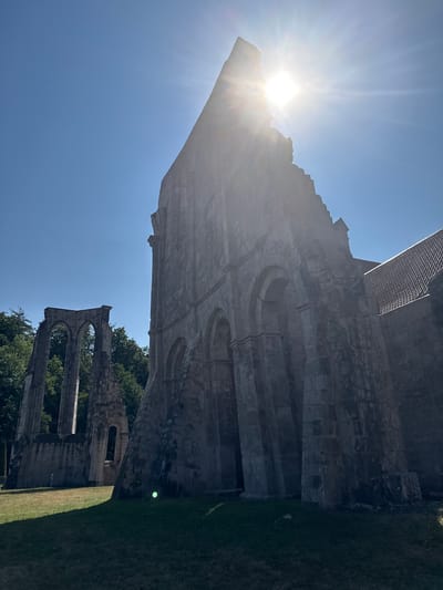 This image shows a low-angle, wide shot of the ruins of the Walkenried Abbey in Walkenried, Germany, on a bright, sunny day. The sky is a clear, vibrant blue. The sun is positioned in the upper right quadrant of the frame, shining intensely and creating a strong lens flare that extends across the top half of the image. The ruins are constructed of large, weathered stone blocks.

In the foreground and mid-ground, the dominant feature is a large, dilapidated stone structure with visible arches. The structure is partially intact, with jagged edges and missing sections, indicating its age and ruinous state. To the left of the main structure, another section of ruins is visible, featuring a tall, arched opening against a backdrop of lush green trees. The ground in front of the ruins is covered in well-maintained, green grass. In the far left of the image, a few tall trees are visible, forming a dense green line. The right side of the image shows a portion of a more intact building with a tiled roof, contrasting with the surrounding ruins. There are no people clearly visible in the frame, though a small, faint greenish orb is present on the grass in the lower right quadrant of the image, possibly a reflection or lens artifact.