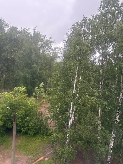 The image shows a cloudy sky above a dense green canopy of trees, primarily birch trees with their distinctive white and black bark, and other deciduous trees. In the foreground, on the left side, a concrete lamppost with a black lamp fixture is visible. A power line runs horizontally across the mid-ground. Beneath the trees, a patch of grass and a dirt path with puddles of water can be seen, suggesting recent rain. Further back, elements of a playground, including red metal structures and swings, are partially obscured by foliage. The setting appears to be a residential area or a park in the city of Kirov, Russia, characterized by natural elements mixed with urban infrastructure.