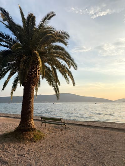 An outdoor, eye-level, vertical shot captures a serene waterfront scene in Donja Lastva, Montenegro, as the sun begins to set. A solitary palm tree stands prominently on the left, its fronds casting shadows on the pebbled ground. Beside the tree, a green park bench faces the water, inviting rest. The calm sea stretches to the horizon, where silhouetted mountains form a distant backdrop. The sky is a gradient of soft blues and yellows, with wispy clouds adding texture. Small boats and a jet ski are visible on the water, suggesting a peaceful recreational area. The overall atmosphere is tranquil and picturesque, typical of a coastal resort town.