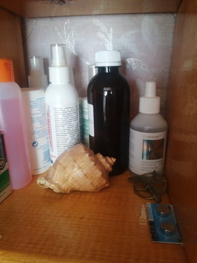 The image shows a shelf or cabinet containing several items, likely personal care products or first-aid supplies. The setting appears to be indoors, with a wooden shelf and a textured, light-colored background.
The subjects in the image are primarily objects:
* Several bottles, some with spray tops, are arranged on the shelf. One is a dark glass bottle, another is a white bottle with a spray dispenser and Cyrillic text. A third bottle is a translucent pink with an orange cap. A smaller, grey bottle with a white cap is labeled "СПИРИЗОР" and also has Cyrillic text, including "ХЛОРГЕКСИДИНА БИГЛЮКОNAT 0.5% СПИРТОВОЙ РАСТВОР" which indicates it's a chlorhexidine gluconate solution.
* A large, light-colored seashell is positioned prominently in the foreground, partially obscuring some of the bottles.
* A small, metallic object resembling a winged emblem or badge lies on the shelf.
* A blister pack containing two round batteries is also visible on the shelf, with some Cyrillic text, including "ALKALINE BATTERY".
There is no activity or event taking place; the scene is static, suggesting the items are simply stored. No people are visible. The lighting is somewhat dim, suggesting it might be daytime but indoors, or artificial lighting. The presence of Cyrillic text on the labels strongly suggests the location is within a Russian-speaking region, consistent with the provided location context of Dubrovka, Russia. The overall impression is one of organized storage of various personal and medical items.