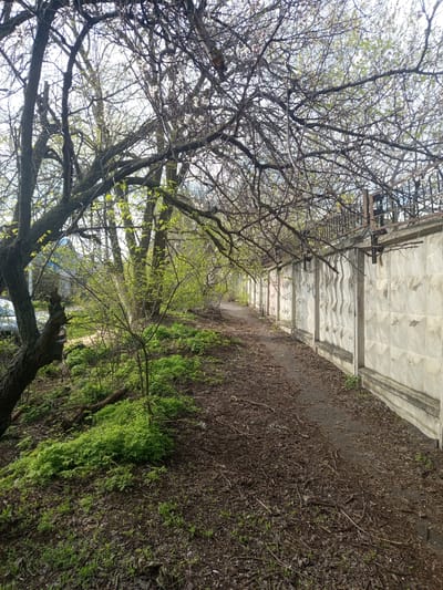 The image depicts a sidewalk adjacent to a concrete wall, bordered by trees and foliage. The wall is patterned with raised geometric shapes. A metal structure, possibly a fire escape, is attached to the wall. The ground is covered with leaf litter and vegetation. The location is suggested to be within the city of совхоза "Воронежский", Russia, although there is no evidence of this in the image. No people are visible. The scene appears to be an urban or suburban environment.