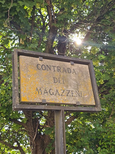 An eye-level, medium shot captures a weathered stone sign with the words "CONTRADA DEI MAGAZZENI" inscribed in black capital letters. The sign is framed by a dark metal structure and mounted on a metal pole. The stone is speckled with yellow lichen, indicating exposure to the elements. Behind the sign, a dense canopy of green leaves from a large tree creates a natural backdrop. Sunlight filters through the leaves, casting a lens flare in the upper right quadrant of the image and dappling the scene with light and shadow. The overall environment suggests an outdoor setting, possibly in a historic or rural area.
