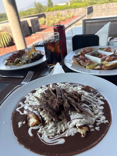 The image depicts a restaurant setting, with a focus on food and beverages. In the foreground, a white plate holds what appears to be enchiladas covered in a brown sauce, topped with crumbled white cheese, shredded meat, and a swirl of white cream or sauce. A fork is visible near the plate. Behind it, a bottle and glass filled with a dark beverage sit on the table. Further away, another plate contains what looks like open-faced sandwiches with various toppings, including a small white dish holding a salsa or relish. The backdrop includes a view through a window, featuring vegetation and structures that suggest an outdoor setting. The location is Pueblo Nuevo de Jasso, Mexico.