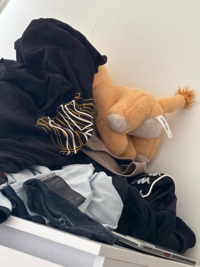 A stuffed lion toy with a Disney tag lies among neatly folded clothing in a white shelving unit. The lion is light brown with a fluffy mane and tail, and its paws are light gray. The clothing includes black t-shirts with graphic designs, a black hooded jacket with white accents, and light gray and dark gray garments. A clear phone case is also visible leaning against the clothing. The scene is indoors, with a white wall in the background, suggesting a closet or storage area. The lighting is bright, indicating daytime. There are no people or animals present. The location context is Falenty Nowe, Poland.