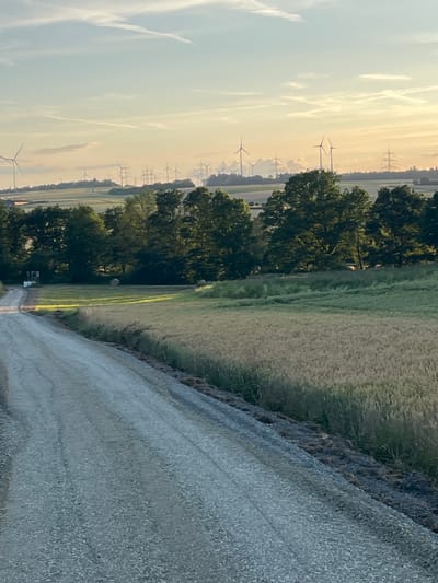 An outdoor, eye-level, long shot captures a rural landscape in Neustadt, Germany at sunset. The foreground features a gravel road leading to a field of dry grass and trees. In the background, a row of wind turbines stands against a hazy, orange sky. Power lines and more wind turbines are visible in the distance. The scene is peaceful and serene.