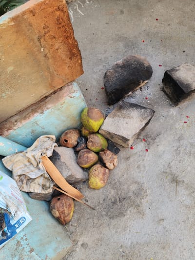 The image captures an outdoor ground-level scene in Pedda Kammavaripalli, India. The primary surface is a light grey concrete or cement floor, exhibiting varied staining, dirt, and scattered small red petals.
In the upper-left background, a rough, rusty-brown textured slab or surface leans against a light blue painted concrete base. A light blue pipe is partially visible near the base of this structure in the lower-left.
A cluster of approximately ten coconuts is positioned centrally and towards the lower-right. These coconuts exhibit varying states, from greenish-yellow with brown decay patches to fully brown and dried. Several of the coconuts possess distinct, dark circular perforations, indicative of being opened.
Adjacent to and partially supporting the coconuts are multiple irregularly shaped stones. Three larger stones, dark grey and exhibiting significant charring or black discoloration, are arranged on the concrete, consistent with use as a makeshift hearth or cooking supports. A smaller, lighter grey stone is also intermingled with the coconuts.
To the left of the coconut cluster, a crumpled, light-colored fabric with faint stripes rests on the concrete, partially obscuring a thin, light-brown wooden stick or splinter. Beneath the fabric, a section of a white and blue plastic bag or packaging, displaying legible text including "HOW TO USE" and "M 72 GRAMS," is visible on the concrete. The concrete beneath the charred stones and coconuts exhibits areas of dark grey and black discoloration, consistent with ash or residue from burning. No individuals are present in the scene.