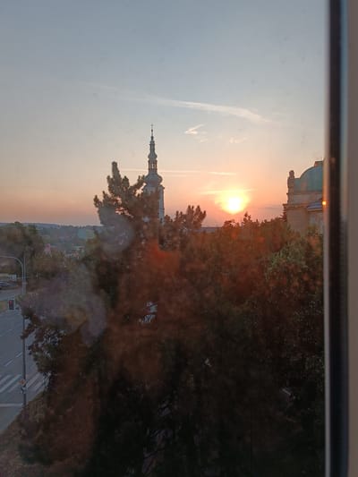 The image depicts a cityscape at sunset as viewed through a window, with reflections on the glass. In the foreground, the dark silhouette of a large pine tree obscures a significant portion of the scene. Beyond the tree, a tall, slender church steeple with a cross at its apex pierces the sky, and a domed building with classical architectural features is visible to the right. The sky is a gradient of pale blue and soft orange, with the setting sun creating a bright glow. In the middle ground, a street with traffic lights and a crosswalk is visible, along with other buildings and more trees. The overall impression is a tranquil evening view of the city of Vyškov, Czechia.