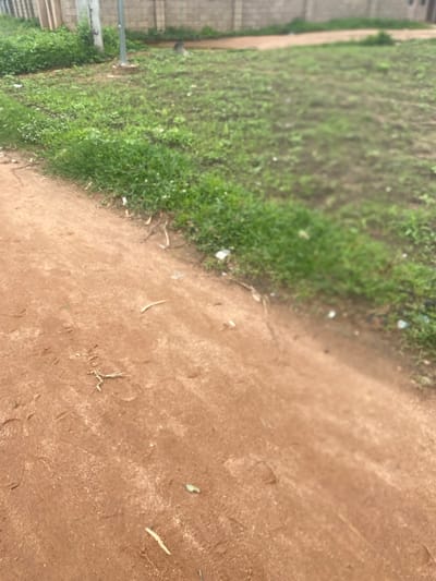 The image shows a dirt path bordering a grassy area. The path is reddish-brown and appears to be unpaved. There are some dry leaves and twigs on the path. To the left of the path, there is a patch of green grass, which appears somewhat overgrown and uneven. In the background, there is a low, grey brick wall. Beyond the wall, the area is out of focus but suggests a residential or undeveloped space. The overall scene suggests an outdoor environment, possibly in a rural or semi-urban area. The image does not provide any specific visual cues to confirm a location within the city of Gulum, Nigeria, or any people or specific actions taking place.