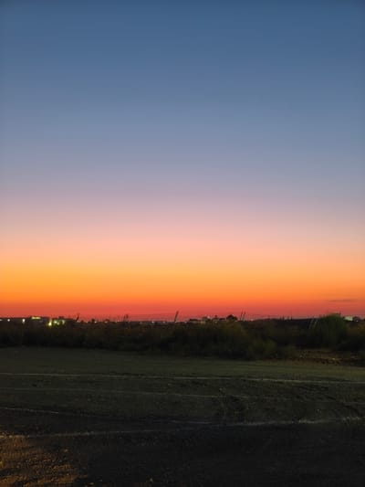 The image captures a twilight sky over the city of Picassent, Spain. The sky transitions from a deep blue at the top to vibrant orange and pink hues closer to the horizon, indicating either sunrise or sunset. Below the sky, a line of vegetation and distant buildings with illuminated lights can be seen. In the foreground, dark, unpaved ground with tire tracks is visible. The scene appears to be an open area, possibly on the outskirts of the city, with a stark contrast between the illuminated sky and the darkened landscape. There are no people or animals present in the frame.