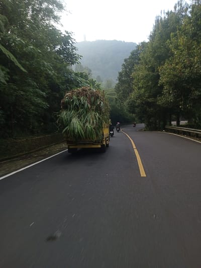 A road curves through a landscape with dense green foliage on either side. A yellow truck filled with green vegetation occupies the left lane. Two motorcycles are behind the truck. A white line marks the edge of the road on the left, and a yellow line runs along the center. A metal guardrail is on the right side of the road. A hill with a structure on top is visible in the distance. The location is likely Taunggyi, Myanmar.