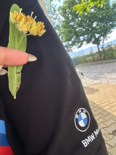 A close-up shot focuses on a person's hand holding a cluster of small, yellow flowers with a green leaf against a black fabric garment. The garment features a white BMW logo and the text "BMW Mot" on the sleeve. In the background, a blurred scene shows trees, a fence, and a paved area, suggesting an outdoor setting. The location is identified as Polsko Padarevo, Bulgaria.