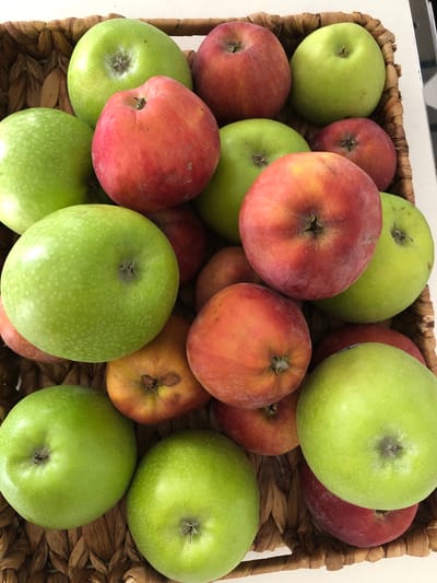 A high-angle shot shows a close-up of a woven basket filled with red and green apples. The apples are of various sizes and shades, with some appearing more red and others more green. The basket is woven from natural fibers and has a rustic texture. The background is slightly blurred, but appears to be a light-colored surface. There are no people or animals visible in the image. The scene does not provide any information about the city of Kaş, Turkey.
