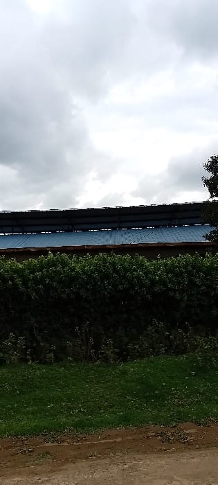 The image captures an outdoor scene in Kinale ward, Kenya, under an overcast sky. The upper third of the frame is dominated by heavy, light grey clouds. Below the cloud line, a large building or industrial structure is visible, characterized by a prominent blue corrugated metal roof, with a darker structural component running above it. A dense, dark green hedge extends horizontally across the middle ground, obscuring the lower section of the building. A portion of a dark tree is visible on the far right edge, extending into the sky. The foreground consists of a strip of green grass, transitioning to a reddish-brown dirt path or ground surface at the bottom of the frame. No individuals, specific actions, or direct interactions are depicted.